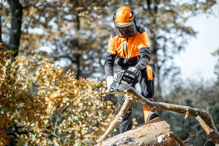 How To Safely Prepare For A Tree Cutting Service At Home Huntington IN How To Safely Prepare For A Tree Cutting Service At Home Huntington IN